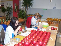 Muzeum Bombki Choinkowej 2017 (9)